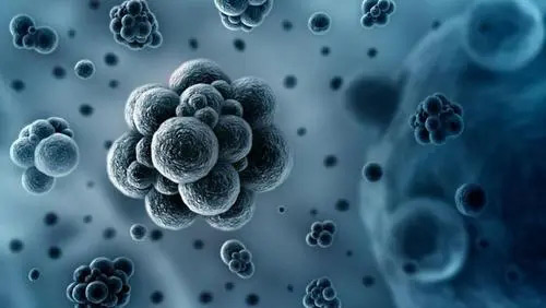 银离子抗菌剂应用场景